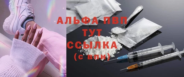 spice Бородино