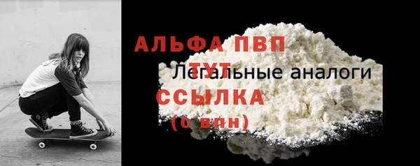 spice Бородино