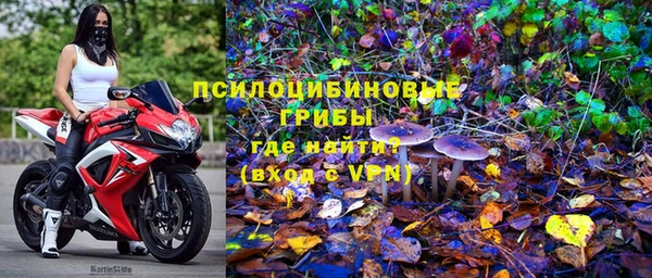 spice Бронницы