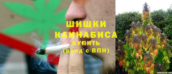 spice Бородино